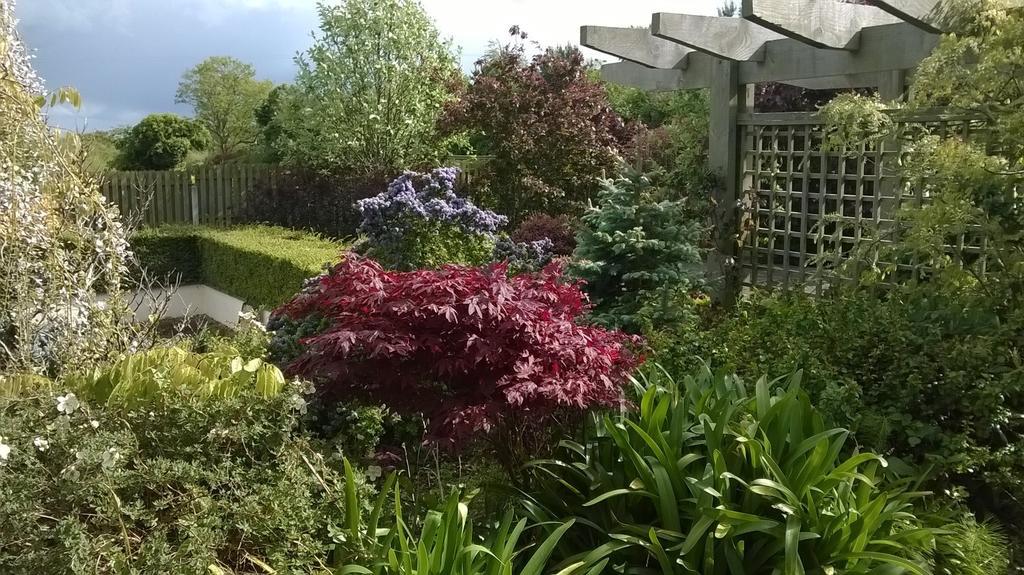 Dunbur Lodge Wicklow Exteriör bild